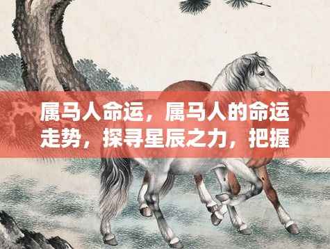 属马人的命运走势,探寻星辰之力,把握人生轨迹