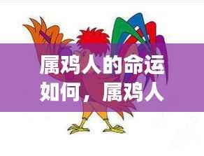 属鸡人的命运展望,星象指引的光明前程