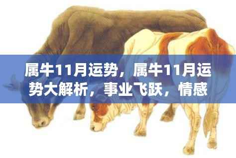 属牛11月运势详解,事业飞跃与情感甜蜜展望