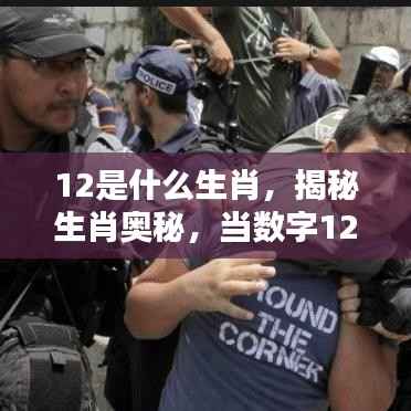 揭秘生肖奥秘,当数字12遇上千年生肖轮回的奥秘