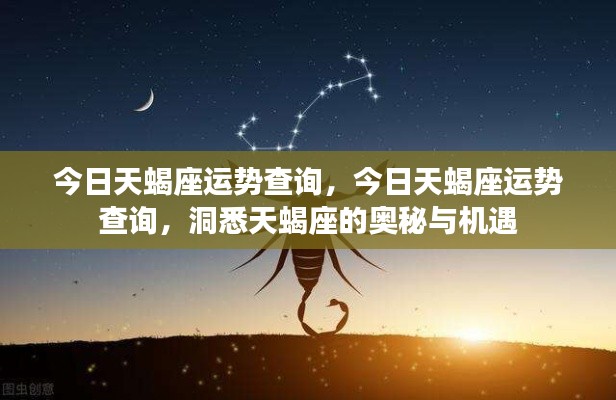 今日天蝎座运势详解,洞悉机遇与奥秘的星座运势查询