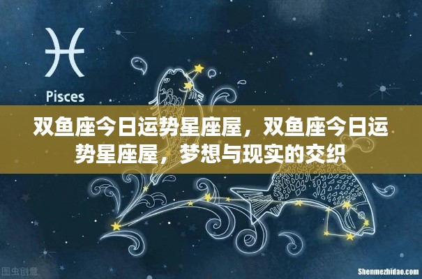 双鱼座今日运势,梦想与现实交织的星座屋体验