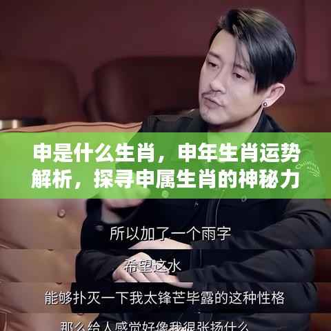 申年生肖运势解析,探寻申属生肖的神秘力量与运势展望