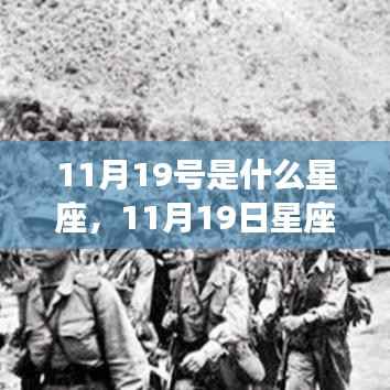 揭秘11月19日星座运势与个性魅力,神秘面纱下的星座秘密