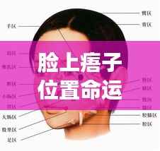揭秘面部痦子位置与命运星相的联系,脸上痦子位置图解与命运图解读