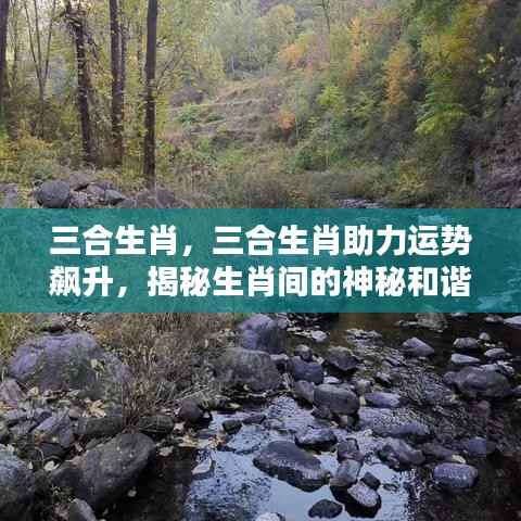 揭秘生肖和谐之力,三合生肖助力运势飙升!