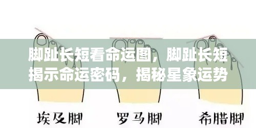 脚趾长短揭示命运密码,星象运势新篇章揭秘