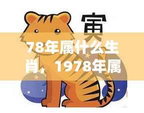 1978年属相运势解析与个性特点揭秘,生肖深度解读