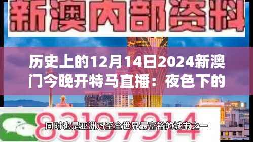 历史上的12月14日2024新澳门今晚开特马直播:夜色下的新澳门,另一种繁华