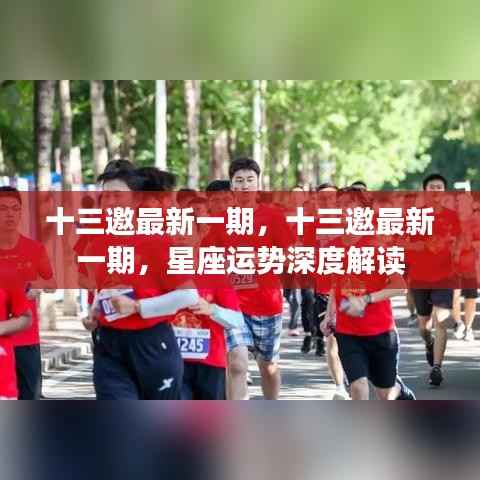 十三邀最新一期,深度解读星座运势