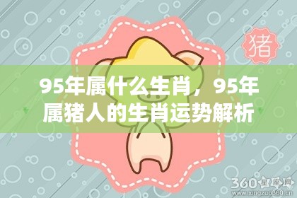 1995年属猪人的生肖运势全面解析