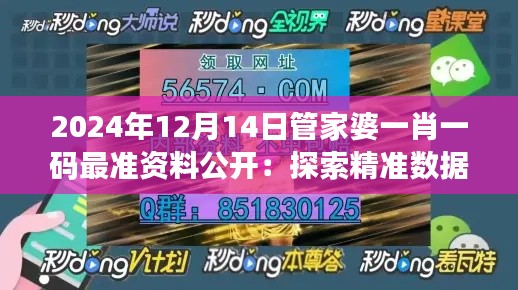 2024年12月14日管家婆一肖一码最准资料公开:探索精准数据的力量