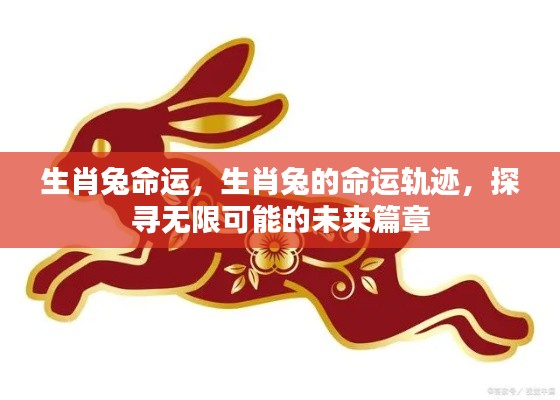 生肖兔命运揭秘,探寻未来篇章的无尽可能轨迹