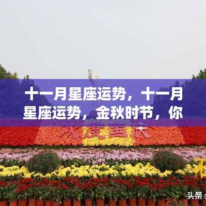十一月星座运势大揭秘,金秋时节,你的星座运势走向如何?