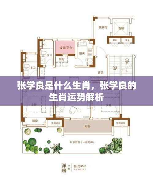 张学良的生肖与运势解析