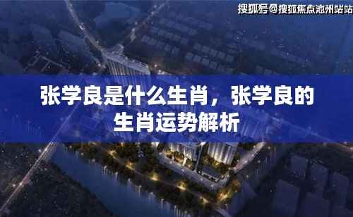 张学良的生肖与运势解析