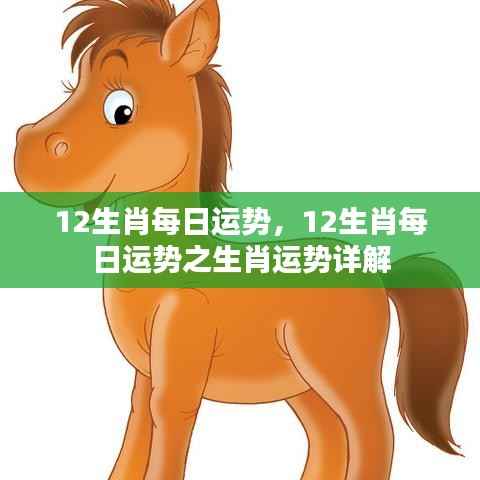 每日生肖运势详解,掌握你的生肖运势走向