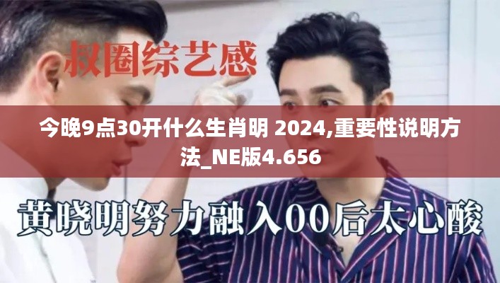 今晚9点30开什么生肖明 2024,重要性说明方法_NE版4.656