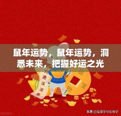 鼠年运势揭秘,洞悉未来,把握好运之光