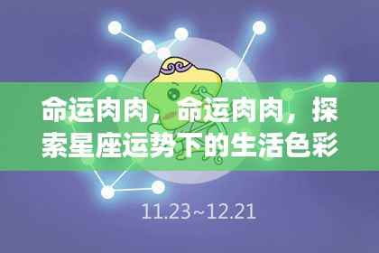 星座运势下的生活色彩探索,命运肉肉之旅