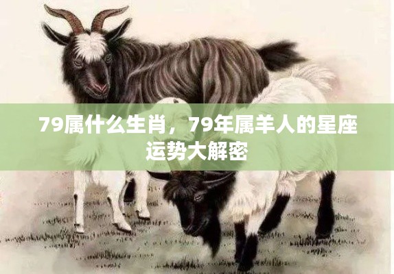 揭秘属羊人星座运势,深度解析生肖羊的星座运势与性格特征