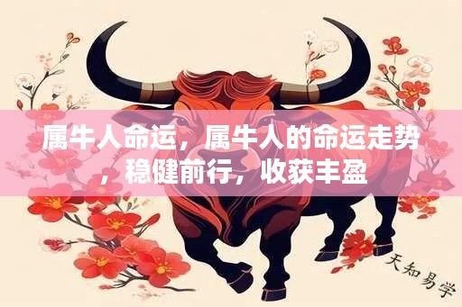 属牛人的命运走势,稳健前行,丰盈收获