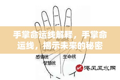 手掌命运线解读,揭示未来命运之谜的奥秘纹线分析