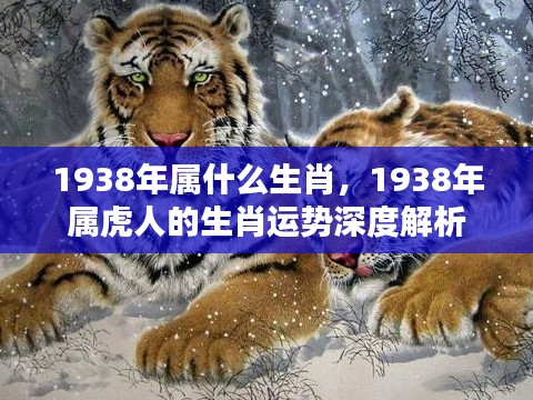 1938年属虎人的运势深度解析及生肖运势探讨