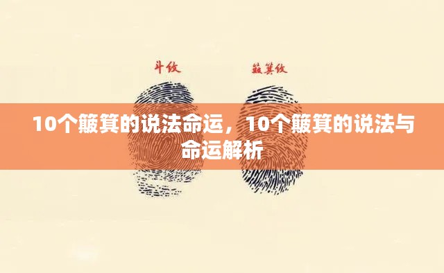 揭秘十个簸箕命运之谜,深度解析命运走向与人生轨迹