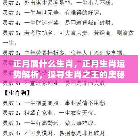 探寻生肖奥秘,正月运势解析与生肖运势揭秘