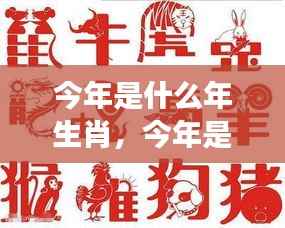 今年生肖运势解析,运势走向及生肖年份解读