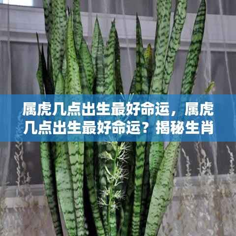 飞来横祸 第4页