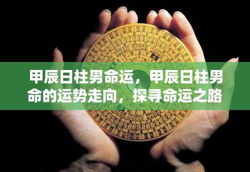 甲辰日柱男命,命运走向的独特轨迹探寻