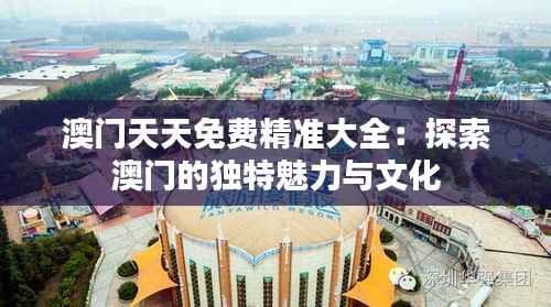 澳门天天免费精准大全:探索澳门的独特魅力与文化