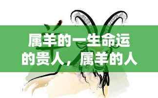 属羊人的命运贵人,生命中不可或缺的支撑力量