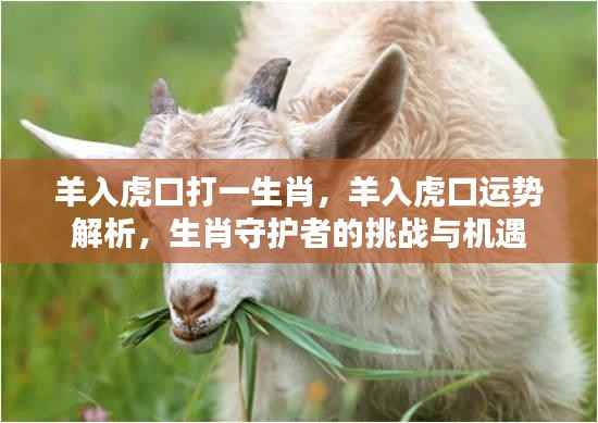 羊入虎口,生肖挑战与机遇解析及运势展望