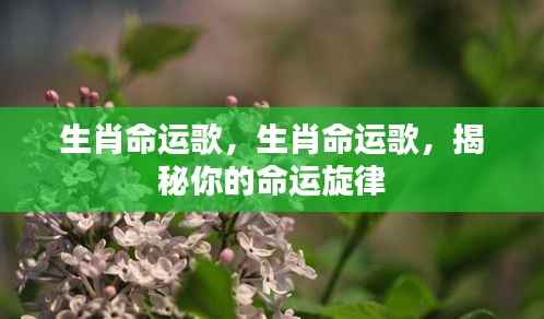 生肖命运歌揭秘,命运旋律随生肖起伏