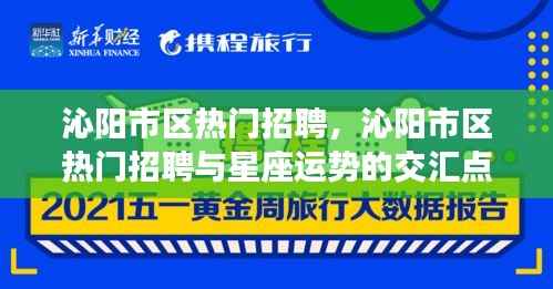 沁阳市区热门招聘,星座运势与职业发展的交汇点