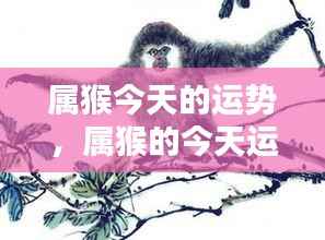 属猴今日运势大揭秘,把握好运,迎接美好时刻!