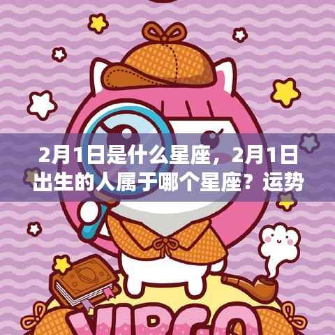 2月1日出生者的星座运势与性格揭秘,星座解析及性格特征探究