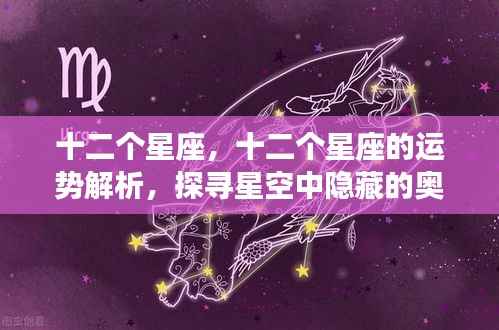 揭秘星空奥秘,十二星座运势深度解析