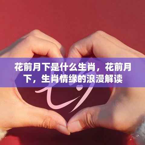 花前月下,生肖情缘的浪漫解读