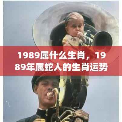 揭秘属蛇命运,1989年生肖运势与未来展望