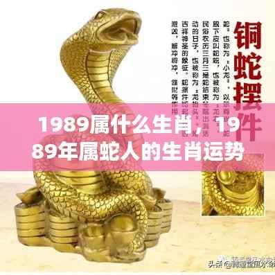 揭秘属蛇命运,1989年生肖运势与未来展望