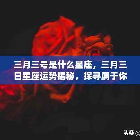 鸟革翬飞 第4页