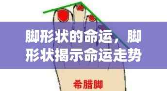 脚型与命运走势,星座运势新解读