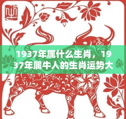 揭秘1937年属牛人的生肖运势与运势大解密