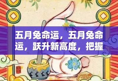 五月兔命运,跃升新高度,把握好运时刻