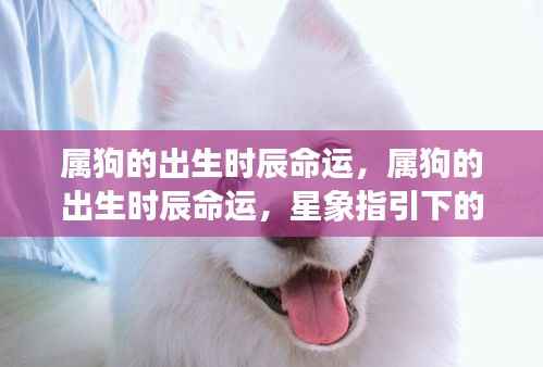 推襟送抱 第4页