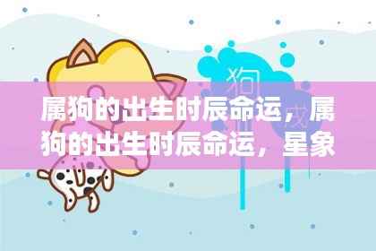 属狗的出生时辰命运详解,星象指引下的命运轮廓探索